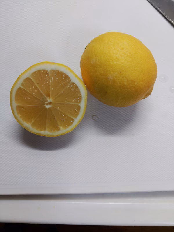 長崎　伊木力産　完熟レモン(お試し)