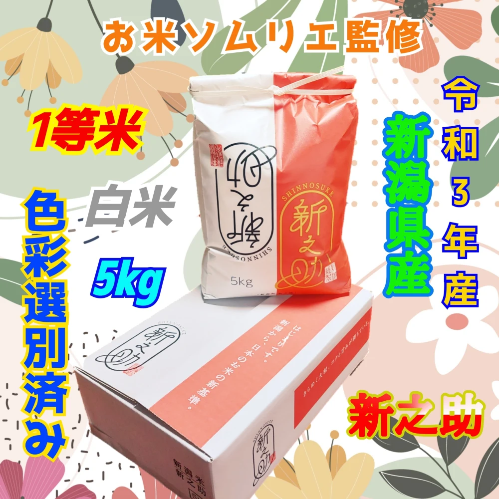 令和5年産❇️至高の傑作❇️数量限定✨新潟四ヶ村産新之助5kg白米｜米