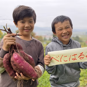 べにはるか　無農薬無施肥　中山間地で栽培　3キロ〜　長野飯山