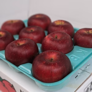 まるで採れたて【スマートフレッシュ】シナノホッペ    パリッと硬めのりんご！