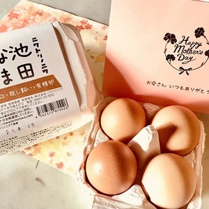 【母の日ギフト】卵かけご飯セット : 放し飼い有精卵+専用醤油120ｍｌ