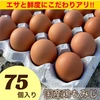【大き目サイズ】×75個・箱入り国産鶏種もみじのタマゴ！