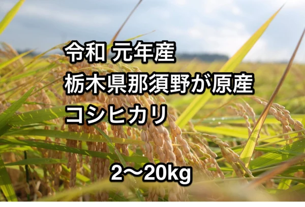 令和元年産 栃木県那須野が原産 コシヒカリ100%