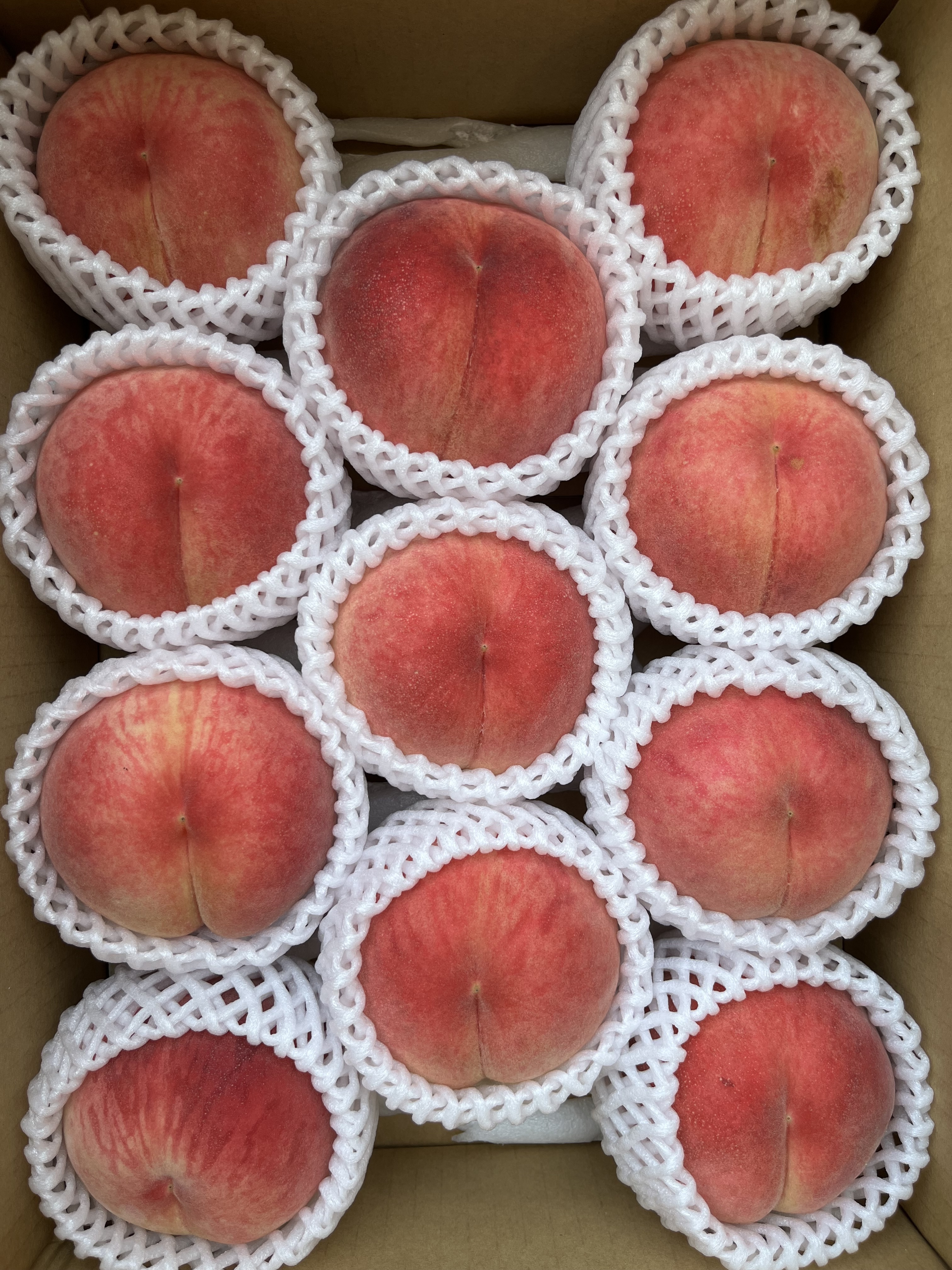 残りわずか!即日発送!果汁たっぷり!川中島白桃 信州産桃 約1.5kg 3〜6個
