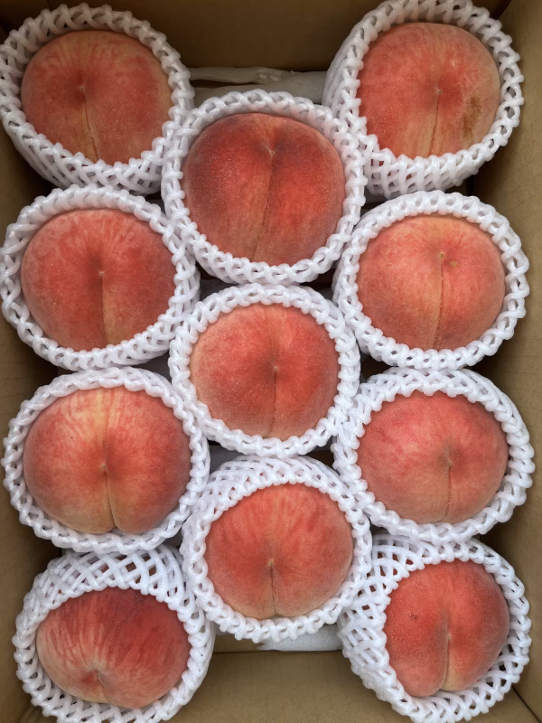 果汁たっぷり！信州産桃  品種おまかせ