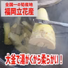 大釜湯がき筍（穂先たけのこ）