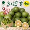 猛暑にはスッキリかぼす！4kg（約32～48個）