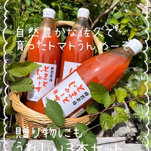 特価アレンジいろいろ完熟トマトジュース（ストレート）2本入