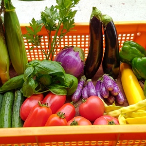 夏のイタリアン野菜セット