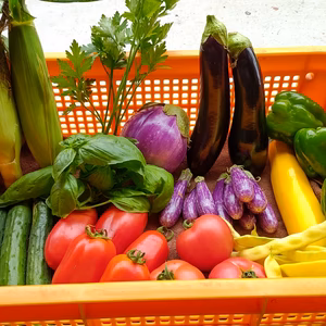 夏のイタリアン野菜セット