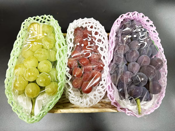 【9周年福袋】（ぶどう3色セット）岡山県産3色おいしいぶどう詰め合わせ！