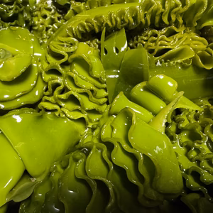 天然めかぶ　茹でて粗く刻み真空パック冷凍100g