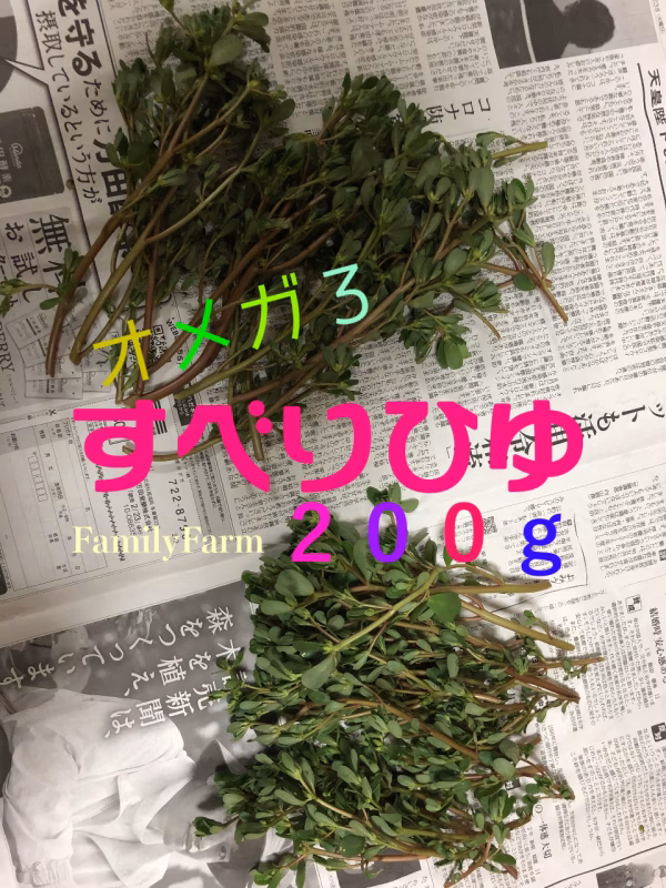 滑莧（すべりひゆ）２００ｇ★オメガ３【葉野菜Ｎｏ１含有量】スーパーフード