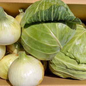 《数量限定》【淡路島産】甘くて美味しい新玉ねぎ約6kgと春キャベツ詰め合わせ