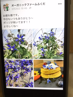 みんなの投稿の画像