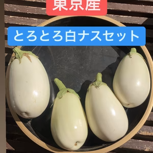 東京産!採れたて白ナスセット！