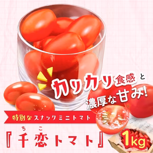 スナックトマト「千恋（ちこ）トマト」1㎏箱満杯詰【送料込み】