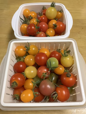 みんなの投稿の画像