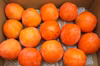 【干柿用】甲州百目柿1箱5kg~4箱20kg