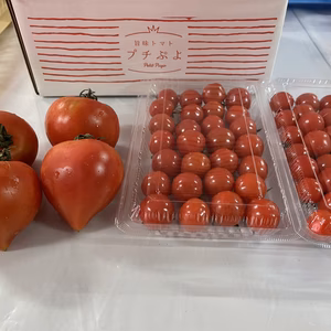 トマトの王様セット！プチぷよとルネッサンス