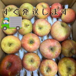 【すぐ配送】ジュースやジャムに（加工用8kg）減農薬栽培