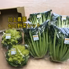 【川上農園】旬の野菜セット3種　