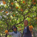 近藤久史 | アタシカ果樹