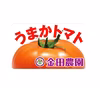 アミノ酸・酵素の力で味の濃さ抜群❗️熊本県産うまかとまと❗️（3パックセット）