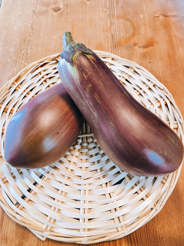 トロトロ焼きナスがオススメ！！「天狗ナス」2本セット