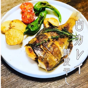 大きい白カレイ鮮度干し　3〜5枚　合計1kg　ムニエルにも！イワシとセットも