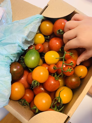 みんなの投稿の画像