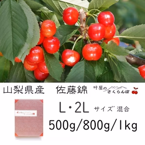 佐藤錦L･2L混合　500ｇ/800g/1kg【６月中旬発送】　