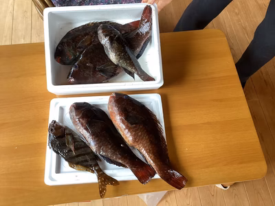 みんなの投稿の画像