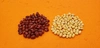 大納言と白小豆　500g 新豆(250ｇ×２）