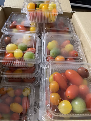 みんなの投稿の画像