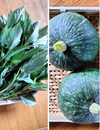 モロヘイヤ2キロとかぼちゃ1個（約1キロ）　旬の野菜のおまけ付き