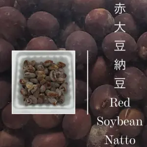 農薬・肥料・除草剤を一切不使用の赤大豆から出来た納豆　50g×4