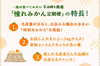 一度は食べてみたい4品種を厳選！「憧れみかん定期便」