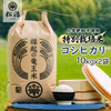 【令和4年産特別栽培米】十代目松治 コシヒカリ「縁起の竜王米」10kgx2袋