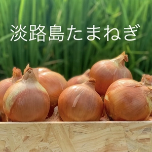 ★6月収穫★淡路島の玉葱３kg〜２０kg