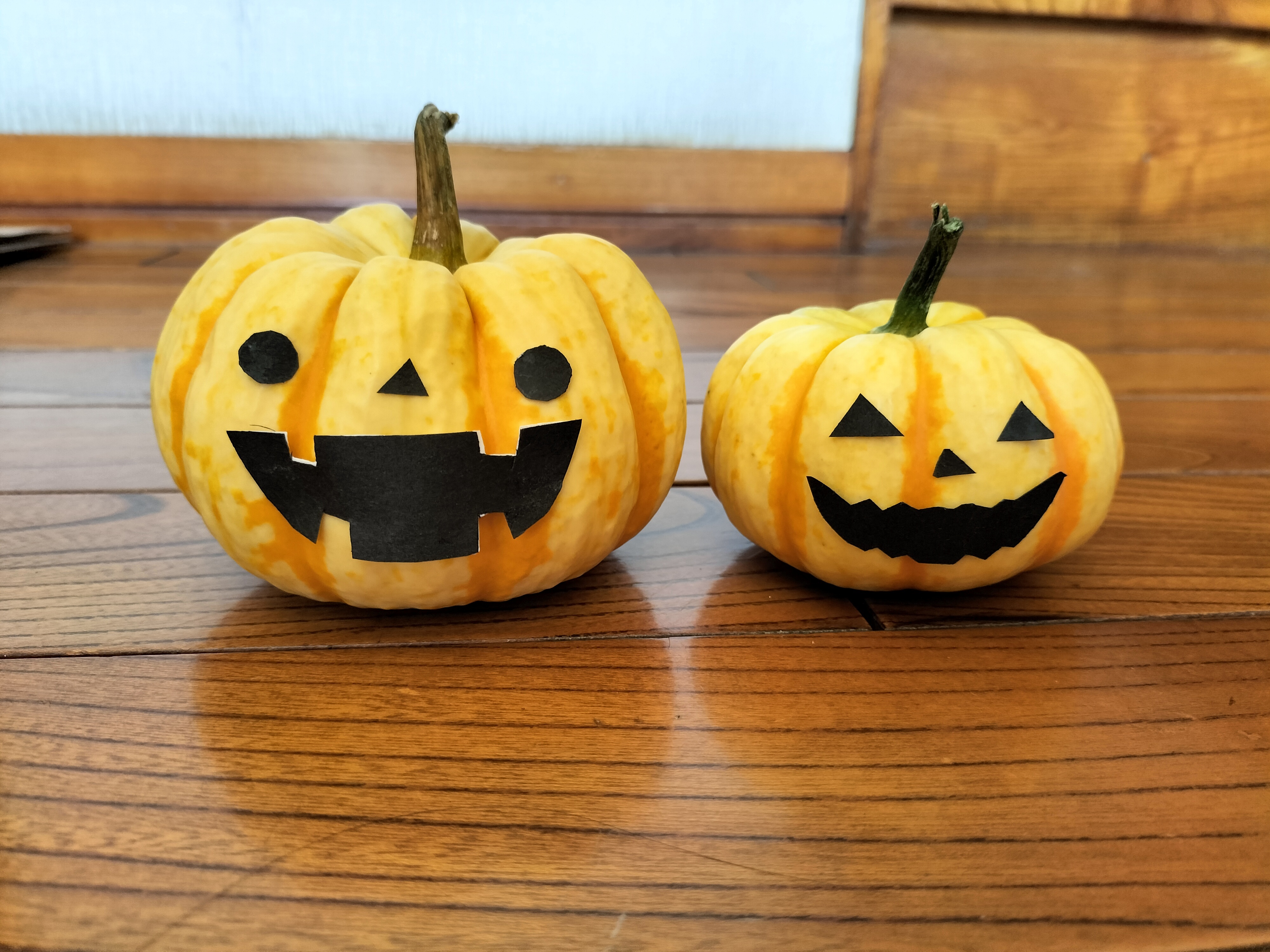 プッチーニ ねっとり甘い可愛いカボチャ、ハロウィン飾りに最適