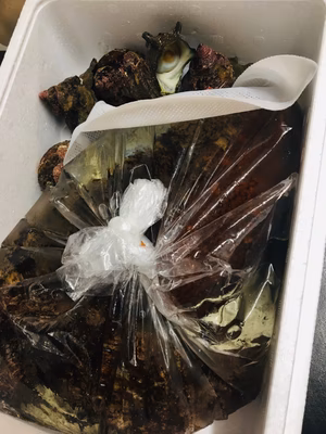 みんなの投稿の画像