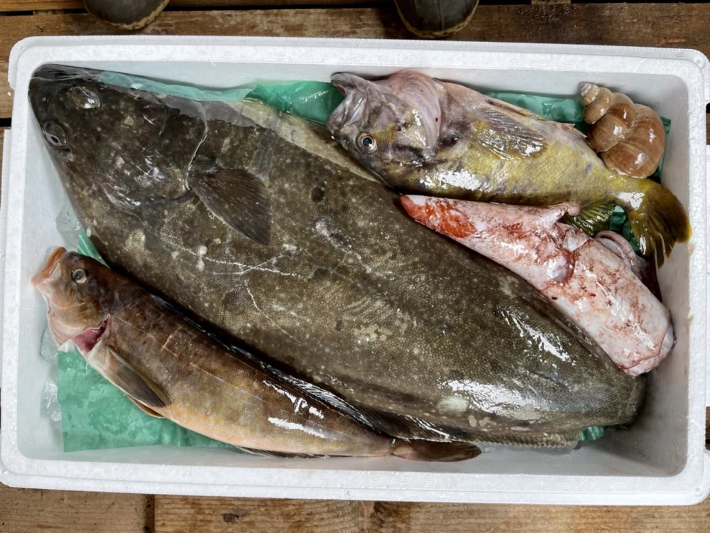 竹【知床羅臼直送】船頭にお任せ！鮮魚ボックス（詰め合わせ）