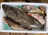 竹【知床らうす直送】船頭にお任せ！鮮魚ボックス（詰め合わせ）