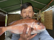 お炭付き鯛 三枚おろし皮むき 農家漁師から産地直送の通販 ポケットマルシェ