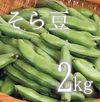 【(予約)５月限定！待ってましたこの季節♪】そら豆(さや付)　２kg