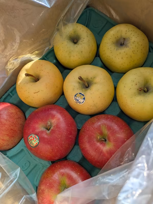 みんなの投稿の画像