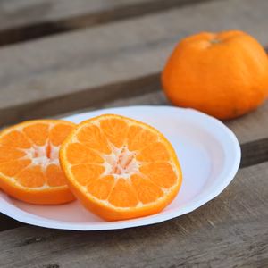 まちゃ様専用  ポンカン5kg.甘平2.5kg 同梱発送！