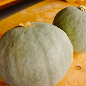 北海道産　農薬不使用　雪化粧　カボチャ