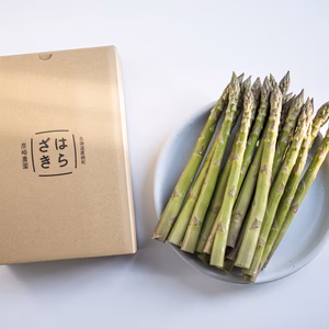 期間限定！太いほど甘い【北海道産 春のグリーンアスパラガス】 約800g 2L～